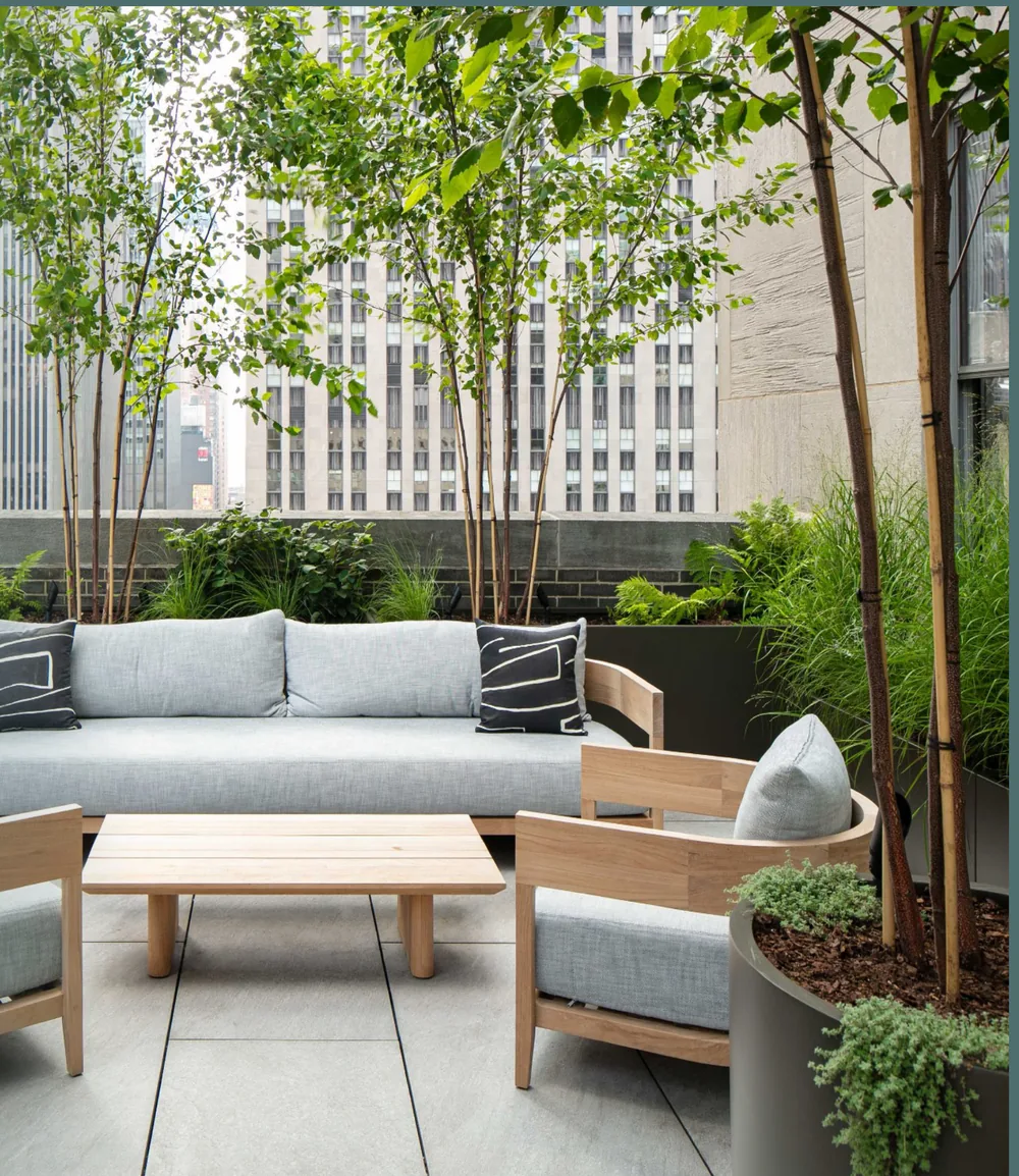 Rooftop Garden & Lounge